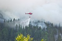 En röd helikopter som släcker en skogsbrand från luften